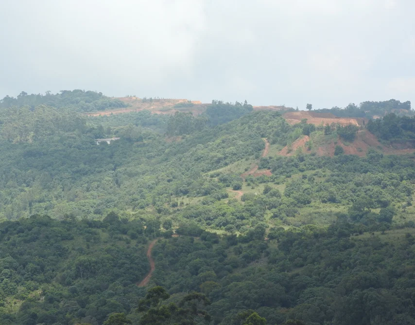 Green hills rolling away at Yercaud