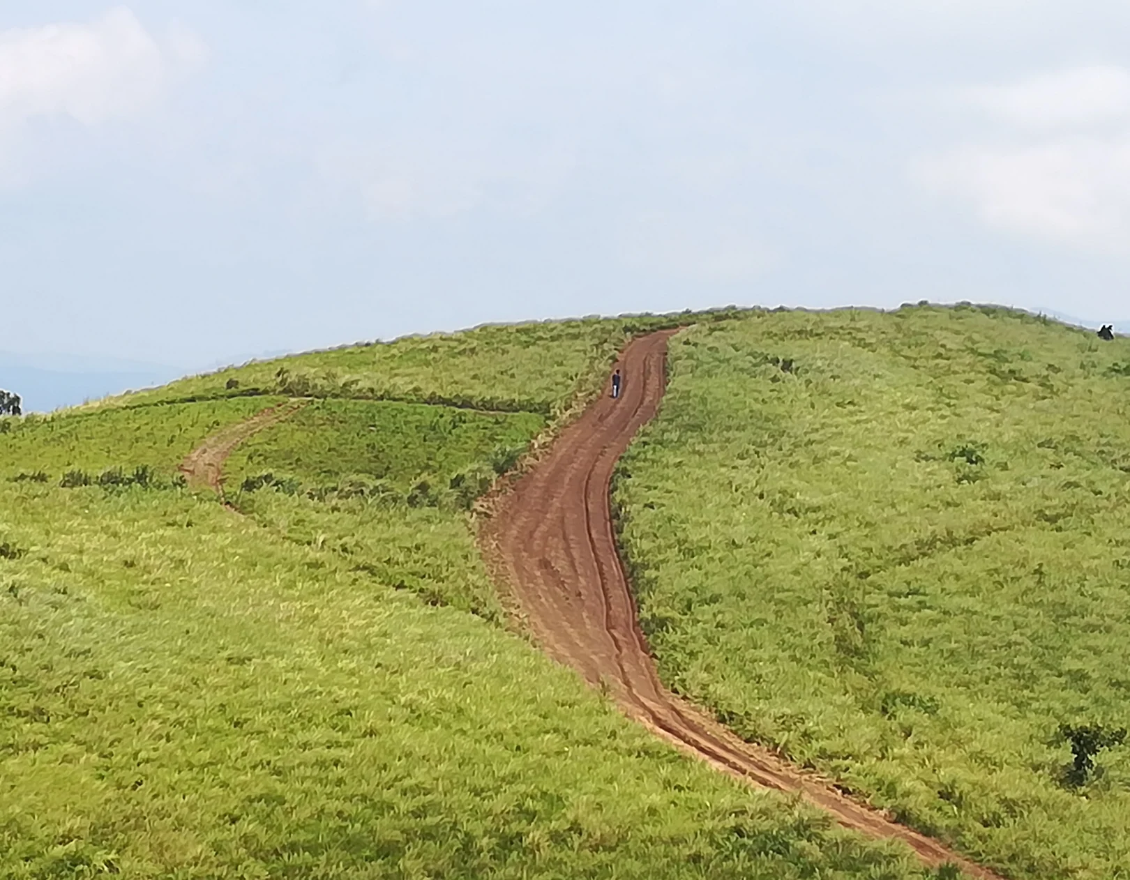 A dirt track curving over the grassland at Vagamon