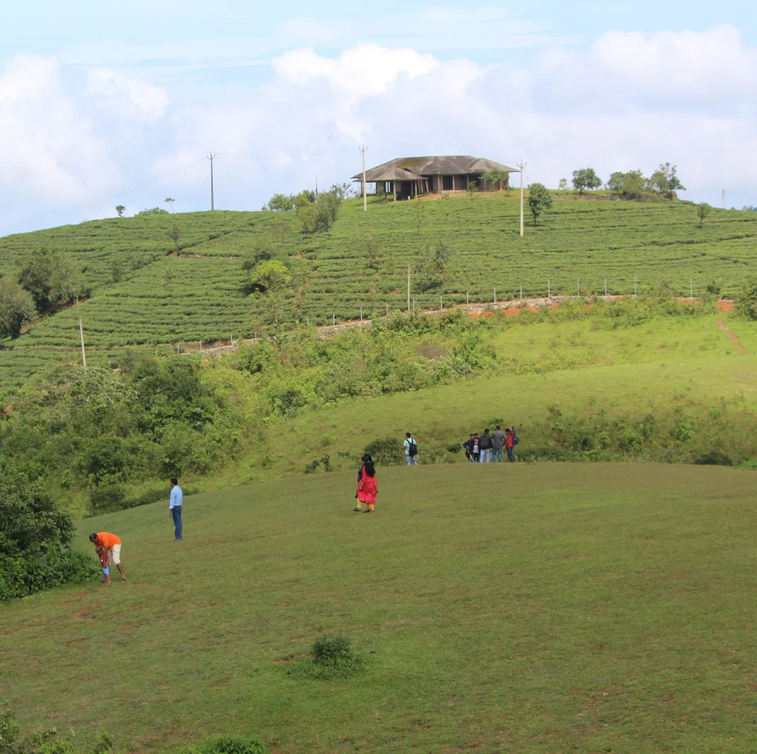 Rolling green meadows at Vagamon