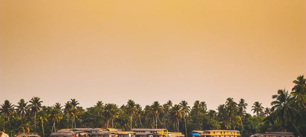 Houseboats moored on the Alleppey backwaters at dusk