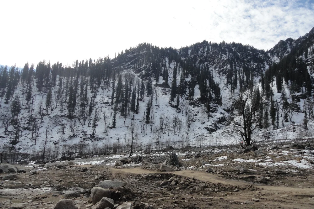 Snow-covered slopes of the Solang Valley near Manali