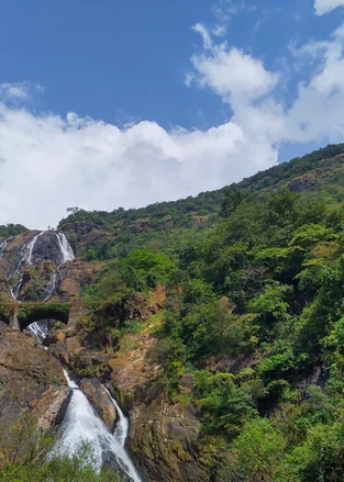 Dudhsagar Falls tumbling through the Goa forest